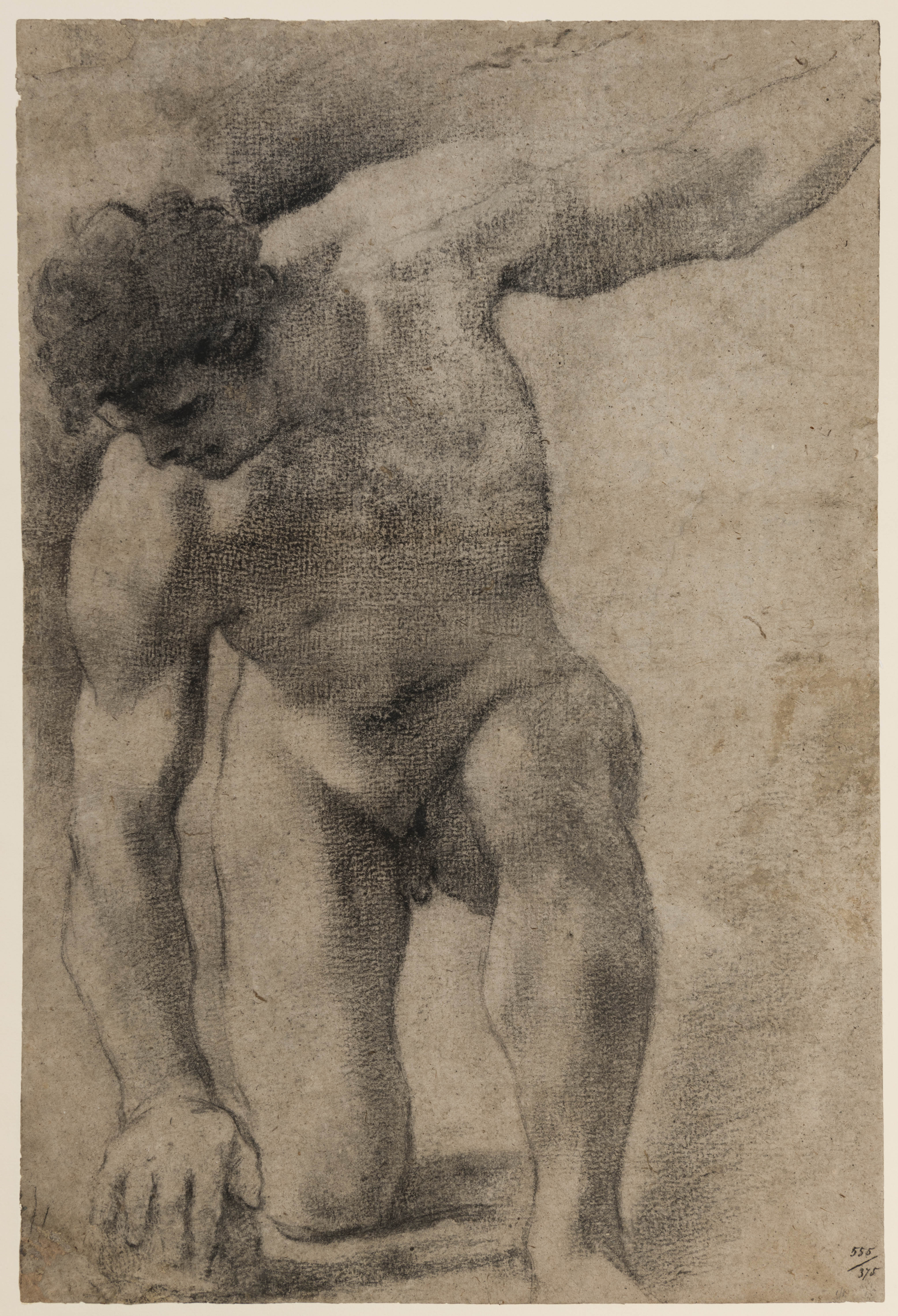 A Kneeling Male Nude